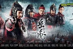 精忠岳飞电视剧,民族英雄的忠诚与抗争