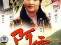 电视剧阿霞演员表,实力派明星齐聚一堂，演绎感人故事